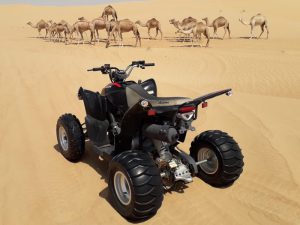 Quad-bike-rental-services-in-doha-qatar