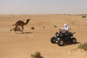 cheap-Quad-Bike-atv-open-desert-tour-ride-family-doha-qatar