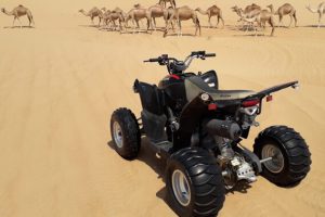 quad-biking-trip-cost-in-doha-qatar