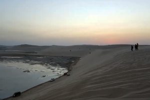 sealine-beach-cheap-buggy-excursion-cost